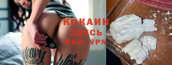 Альфа ПВП Ельня