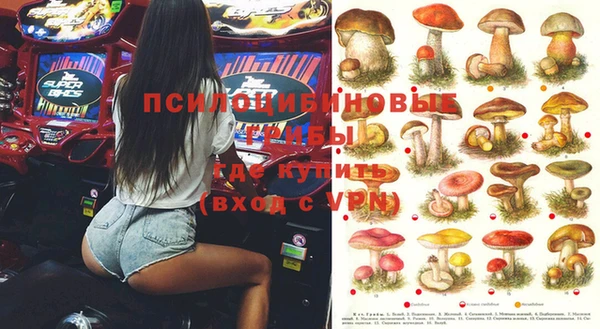 мет Елабуга