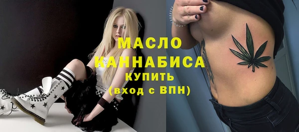 мет Елабуга
