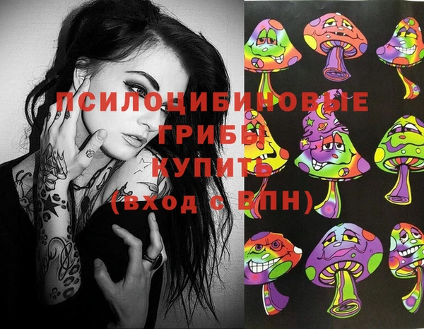 Альфа ПВП Ельня