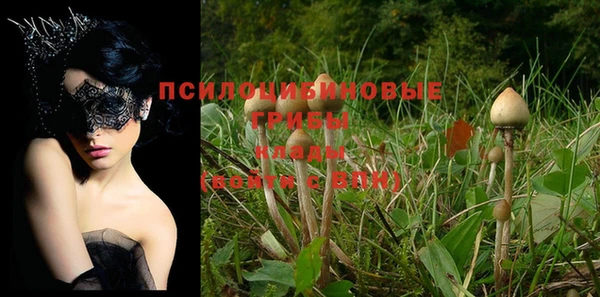 мет Елабуга
