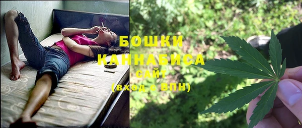 дмт Елизово