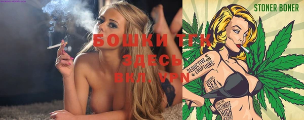 мет Елабуга