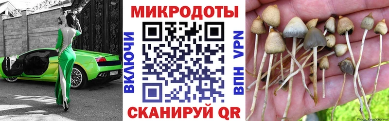 Галлюциногенные грибы ЛСД  Купить  Жиздра 