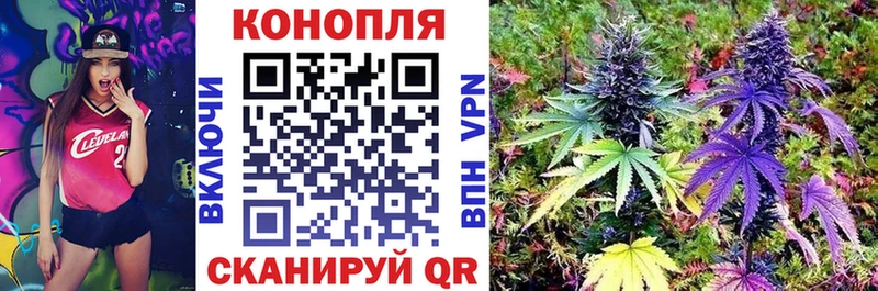 Купить закладки  Жиздра  Бошки марихуана OG Kush 